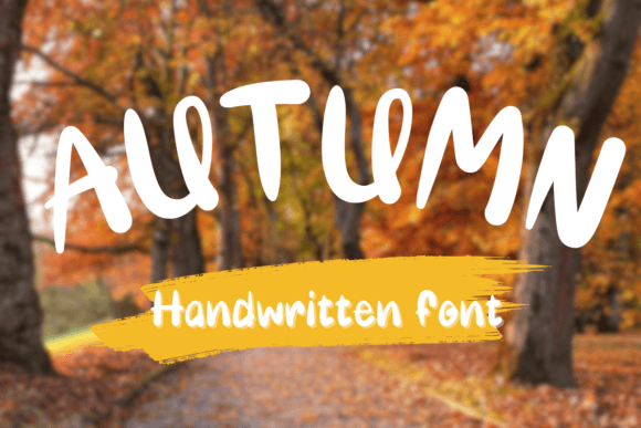 Someday: A Handwritten Font Collection with Unique Character and Versatility